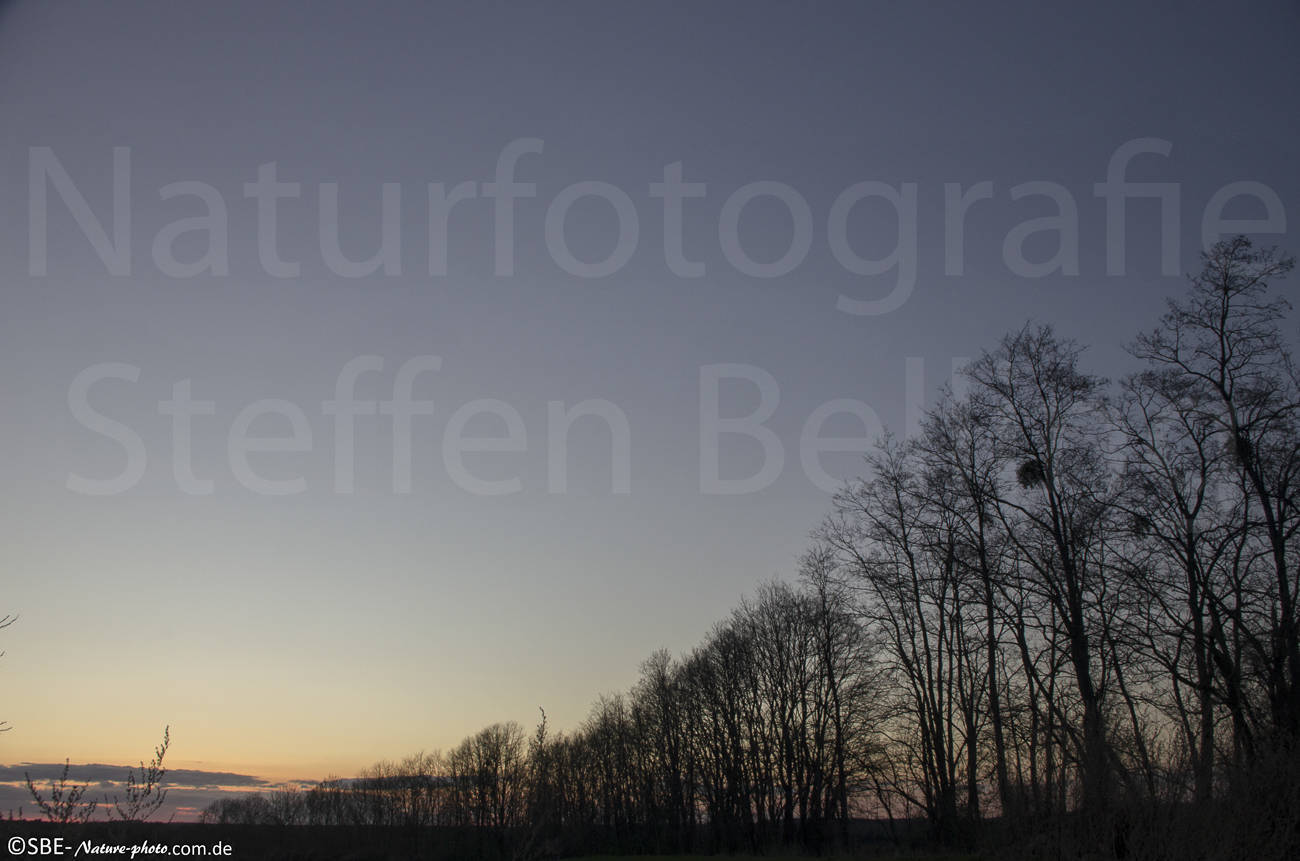 _IGP2673